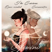 세진 NEW 보석십자수 3D 72가지 신제품 새로운 취미생활 보석 십자수 보석십자수, 34x44 쌍둥이 자리