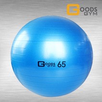 구스짐 프리미엄 짐볼 65CM 파랑 안티버스트 다이어트 필라테스용품