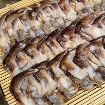 당일발송 제철특가 자연산 손질새조개 500g (손질 전 2.5kg) 27~35미, 1개