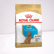 로얄캐닌 푸들 퍼피 사료 1.5kg 토이푸들, 푸들 퍼피 1.5kg