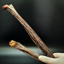 1+1 도기플라워 한우 소우신 한우말이 20cm 1p 카우스틱 소우신 오래먹는 이갈이 소형견 중형견 대형견 강아지 수제개껌, 1+1 한우 소우신 한우말이 20cm 1p