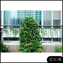 KDM 사생활보호울타리방범창(흰색) 무지개폼 아파트1층사생활 5P 베란다, 1개