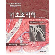 기초조직학, 범문에듀케이션, 9791159432149, Anthony L. Mescher  저/송인환 등역