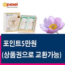나노칼슘 한국칼슘왕 에이펙셀 240캡슐 + 관절275 2박스 또는 5만원상품권, 1박스 240캡슐