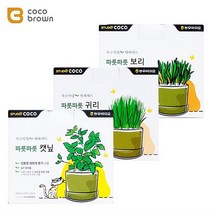 냥이 심신안정 친환경 재배세트 3종 캣닢 개다래나무, 기본