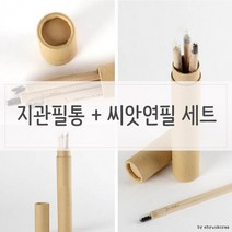 지관필통 n 싹이나는 씨앗연필 세트, 해바라기