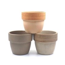 스투키 산세베리아 분갈이화분 플랜테리어 홈가드닝 홈스타일링 식물오브제 집꾸미기