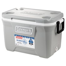 콜맨 아이스박스, 그레이, 49L