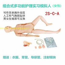 심폐소생술 연습 교육자료 인형 모형 모양 인공호흡, 생식기 교환 여성 간병인 + 가슴 기복
