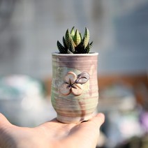 [인아트스튜디오] 미니 꽃길 첨성대 9종 - 작가 수제 다육 도자기 바위솔 예술적 수채 잎꽃이 소형 예쁜 꽃 여주 이천 인테리어 플랜테리어 카페 식당 아이방 선물 도예 개업, 7-연그린2