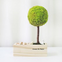 스칸디아모스 편백 나무 화분, 03_편백나무화분-스프링그린