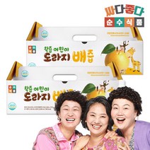 순수식품 착즙 어린이 도라지배즙 80ml 2박스(60포), 단일속성
