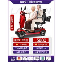 노인전동차 전동카 어르신 소형전기차, 24V, 2인승 12Ah 납산10인치 빅휠350W