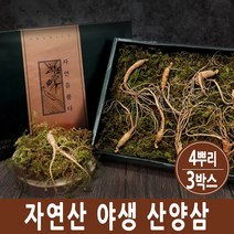 산양삼 자연산 산삼 6년근 장뇌삼 산양삼 야생산삼 뿌리 잎 장내삼 사포닌 진세노사이드 선물세트 강원도 횡성, 3set