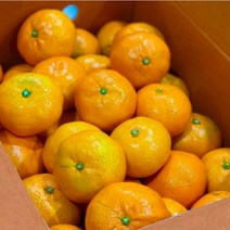 하우스감귤 3kg 5kg 10kg(대과) 제주도 고당도 노지 타이백 감귤, 3kg(대과)