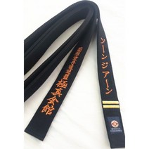 태권도 발차기미트 태권도복 전문 교쿠신 가라테 블랙 벨트 일본 토요고 카이 자수 이름 맞춤형 IKO, 자수로, 320cm