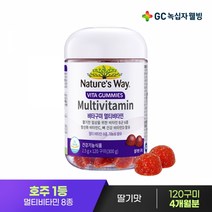 네이처스웨이 비타구미 멀티비타민 120구미x1병 4개월분, 단품