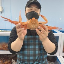 [산지직송] 구룡포 자숙 연지 홍게 2kg 3kg 최상급 수율보장 당일발송, 2kg b급 7~8미 수율70~80%