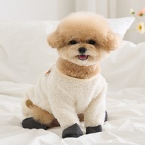 강아지올인원신발 구매 후기 많은곳