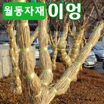 [조이가든] 볏짚 이엉