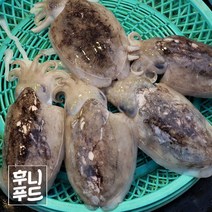 서천 급냉 갑오징어 1k 8미내외, 1개