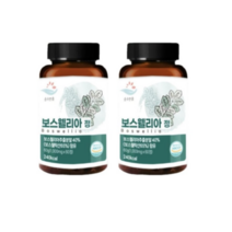고소한마켓 순수한줌 인도산 2세대 보스웰리아 정 보수엘리아 1000mg, 1000mg 120정, 1개