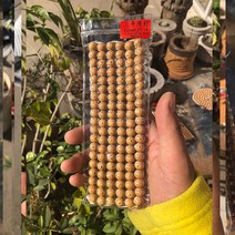 남성 해남 문스타 불교 108알 팔찌 여성 염주, T03-3년 묵은 씨 정월 10mm둥근구슬