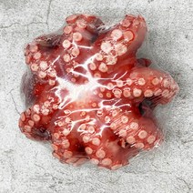 자연산 돌문어 활 문어 1kg 2kg 문어 숙회 자숙 슬라이스 제수용 제사용, 자숙문어 2kg(2~6마리)