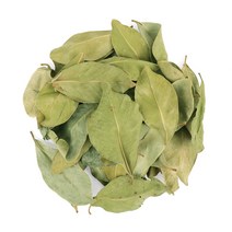 동의한재 제주도산 구아바잎 3kg, 단품