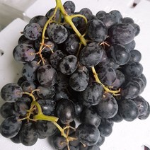 칠레 씨없는 블렉포도 (블렉시들리스) 3kg