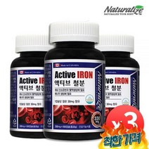 액티브 철분 x 3병 10개월분 청소년 임산부 철분제 산모 영양제
