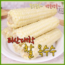 [수확후바로삶은] 괴산 못난이대학찰옥수수 20개(4개씩포장)