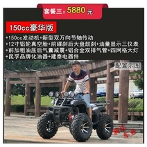 ATV 4륜오토바이 농업용사발이 유원지 체험 레저, 빅불 패키지 쓰리 150cc 디럭스 에디션
