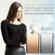 템플러 엣지 보조배터리 5000mAh 8핀젠더포함, 골드, 없음