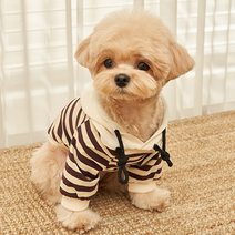 쁘띠도그 강아지 단가라 후드티, 원컬러