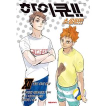 하이큐!! 12(소설판):졸업 후의 풍경, 하이큐!! 12(소설판), 호시 키요코(저),대원씨아이, 대원씨아이