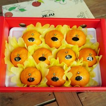 제주 카라향 2kg 3kg 5kg 가정용 선물세트, 카라향 선물세트 5kg