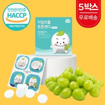 자일리톨 튼튼캔디 핀란드 천연 자이리톨 자일스톤 덴티캔디 아기 유아용 어린이 맛있는 양치 충치예방 무설탕 무가당 캔디 사탕 스톤 간식 청포도 샤인머스켓 낱개포장 60정, 튼튼캔디 5박스