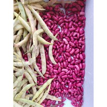 국내산 햇 생 (껍질) 빨강 강낭콩 약4kg, 4kg, 1개