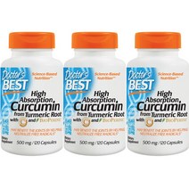 닥터스베스트 하이 앱솔션 커큐민 500mg 캡슐, 120개입, 3개, 120정