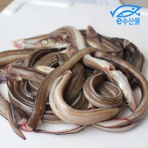 통영바다장어1kg 붕장어국거리 구이 곰거리용 당일배송전 손질한 생물장어, 장어국거리용1kg(작은장어내장만손질)