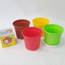 NS 무광 칼라포트 4종, NS무광칼라포트화분 그린