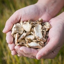신토불이 국산 약초 삽주뿌리(백출) 200g, 12TR_국산삽주뿌리(백출)200g