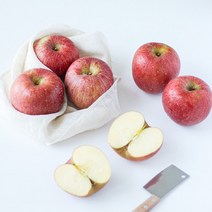 [푸드맛봄] 사과의 고장 문경 부사사과 5kg 소 /17과이상 햇사과, 상세 설명 참조