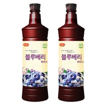 광야식품 블루베리 베이스 970ml, 2개