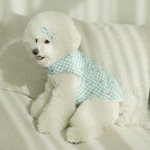 초코디 강아지 패딩 캔디 체크패딩 소형견 중형견 맞춤제작, 민트