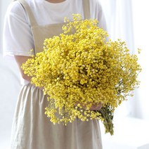 인테리어 드라이플라워 말린꽃 자연 말린 보존된 꽃 안개꽃 Paniculata 아기의 숨결 꽃다발 웨딩 홈 장식 소품 사진 선물, 500g, yellow