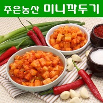 가락시장 업소용 가정용 김치전문점 주은농산 돈까스집 어린이집용 미니깍두기 (무료배송 국내제조) 2kg, 미니깍두기 2kg+종이박스 포장