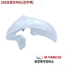 DT X360 킴코 커스텀 프론트 휀다, S250 앞머드와(진주화이트)