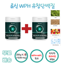 에너데이 류신WPH유청단백질280g 유청농축단백분말 아미노액티브BCAA 비타민미네랄믹스-SA L로이신 완두단백분말 WPC 류신 구아검 다양한 영양 HH 에이치에이치 수크랄로스, 2통, 280g